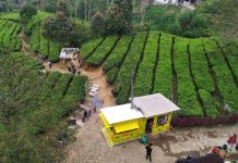 Kawasan Puncak Bogor Masih Diandalkan Pulihkan Angka Kunjungan Wisatawan