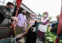 Cegah Stunting, TP PKK Kota Bandung Panen Raya Lele Budikdamber di Kelurahan Karang Pamulang