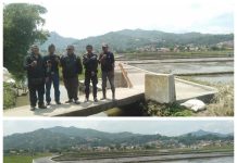 Jalan Untuk Tani di Bumi Wangi – Serang Mekar Diperbaiki, Mudahkan Akses Petani dan Tingkatkan Produktivitas